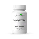 Methyl DNA(메틸 DNA: 메틸레이션을 위한 B2, 6, 12, 엽산 포함) 원본
