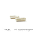 L-Arginine Plus (formerly Perfusia Plus/퍼퓨시아 플러스)