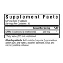 SAMe(샘이) - OPTVITAMIN