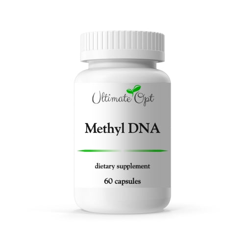 Methyl DNA(메틸 DNA: 메틸레이션을 위한 B2, 6, 12, 엽산 포함) - OPTVITAMIN