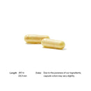 S.A.T. (에스에이티)